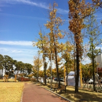 공익 사진 1