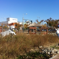 공익 사진 6