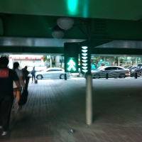 공익 사진 10